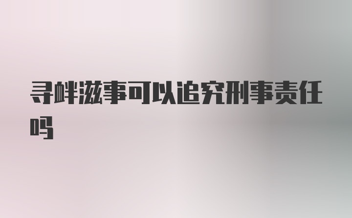 寻衅滋事可以追究刑事责任吗