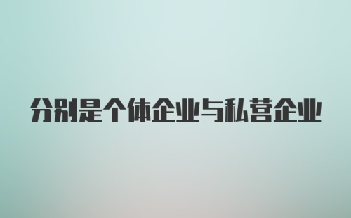 分别是个体企业与私营企业