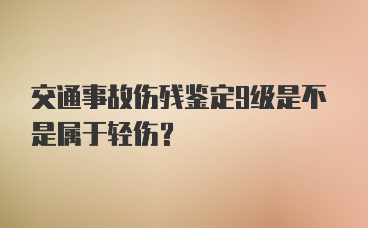 交通事故伤残鉴定9级是不是属于轻伤？