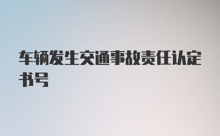 车辆发生交通事故责任认定书号