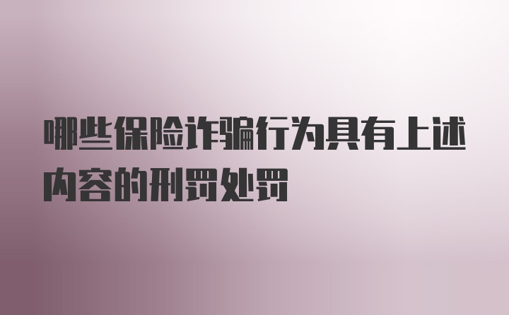 哪些保险诈骗行为具有上述内容的刑罚处罚