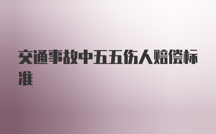 交通事故中五五伤人赔偿标准