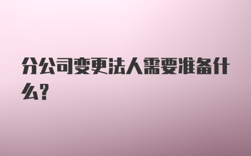 分公司变更法人需要准备什么？