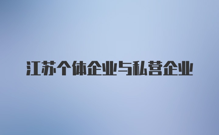 江苏个体企业与私营企业