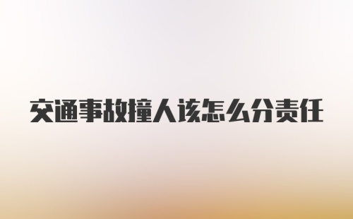 交通事故撞人该怎么分责任