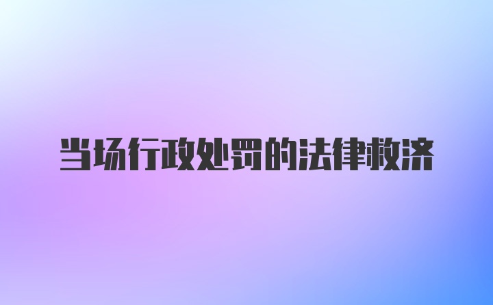 当场行政处罚的法律救济