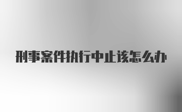 刑事案件执行中止该怎么办