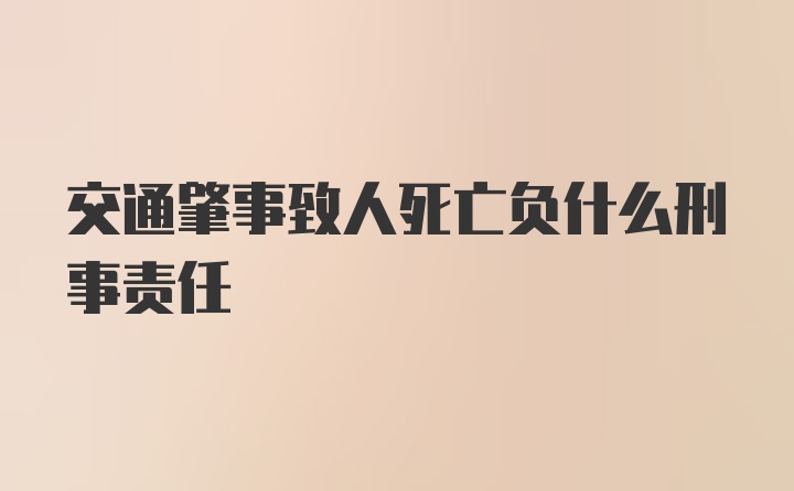 交通肇事致人死亡负什么刑事责任