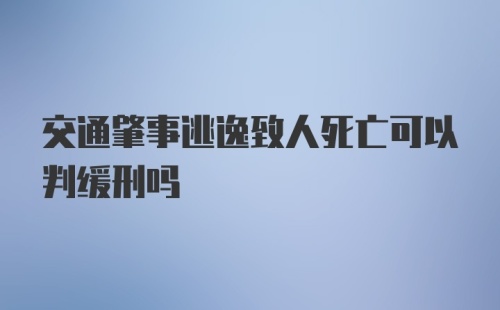 交通肇事逃逸致人死亡可以判缓刑吗