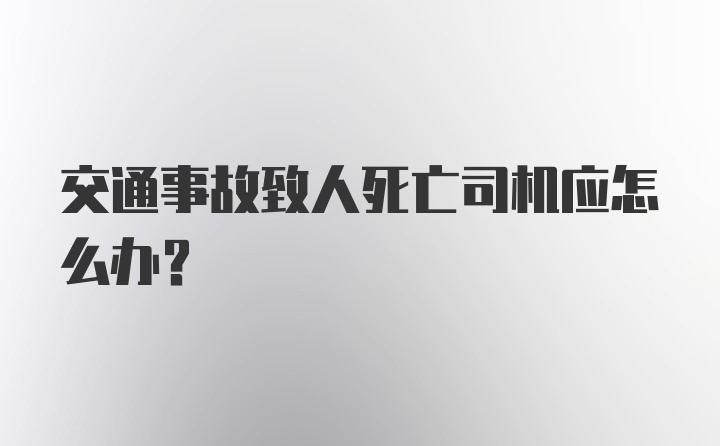 交通事故致人死亡司机应怎么办？