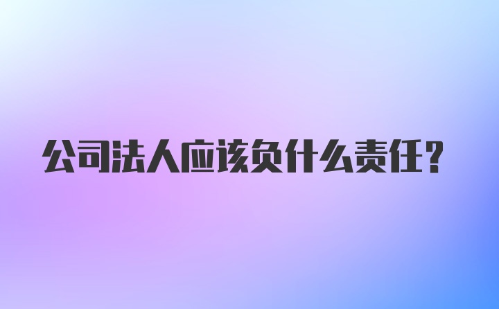 公司法人应该负什么责任？