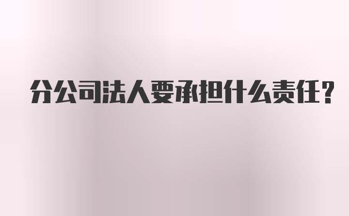 分公司法人要承担什么责任？