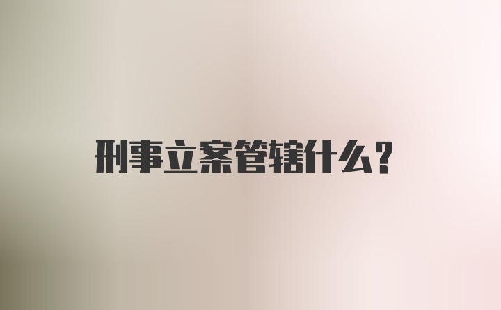 刑事立案管辖什么？