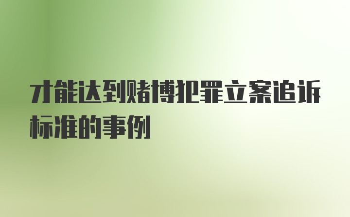 才能达到赌博犯罪立案追诉标准的事例