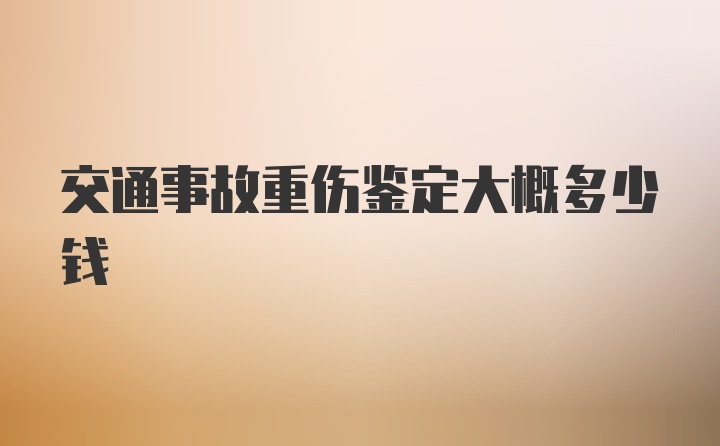 交通事故重伤鉴定大概多少钱