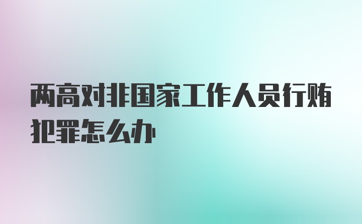 两高对非国家工作人员行贿犯罪怎么办