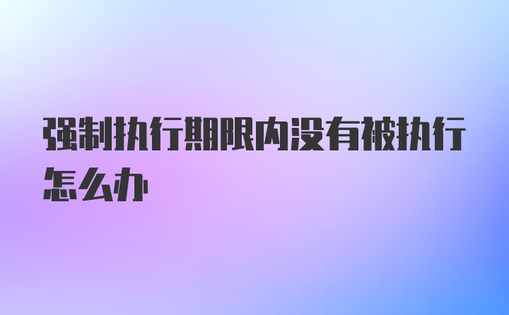 强制执行期限内没有被执行怎么办