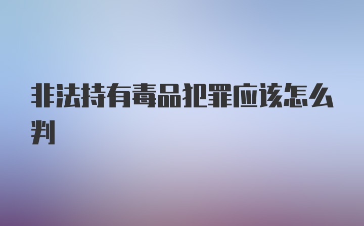 非法持有毒品犯罪应该怎么判