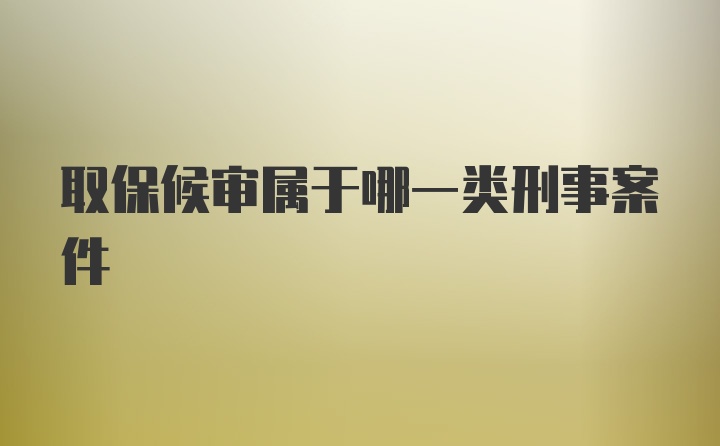 取保候审属于哪一类刑事案件