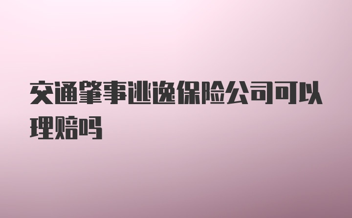 交通肇事逃逸保险公司可以理赔吗