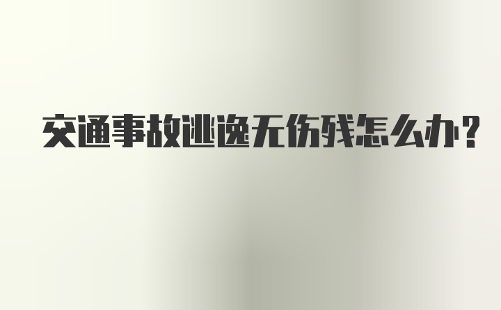 交通事故逃逸无伤残怎么办?