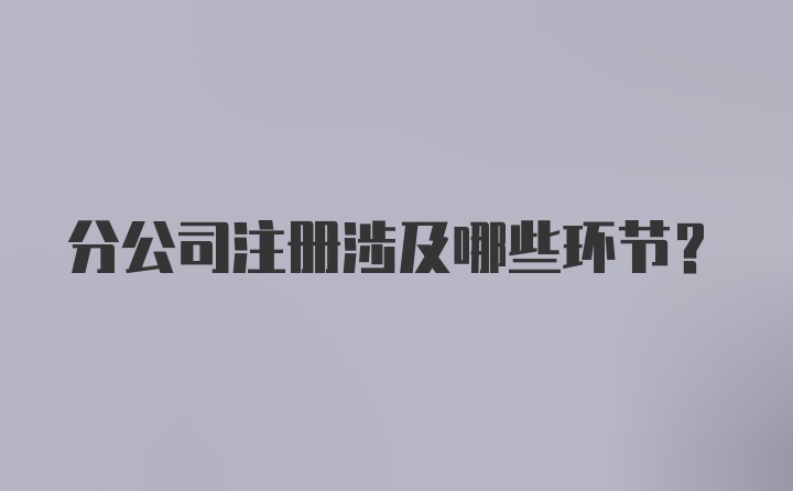 分公司注册涉及哪些环节？