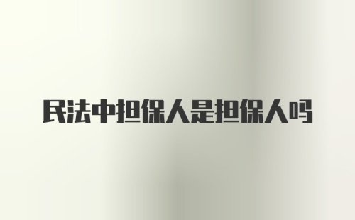 民法中担保人是担保人吗