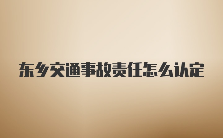 东乡交通事故责任怎么认定