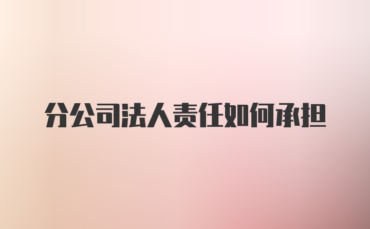 分公司法人责任如何承担