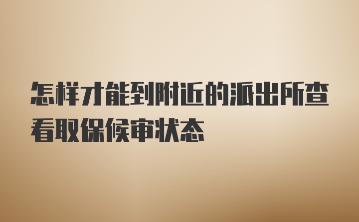 怎样才能到附近的派出所查看取保候审状态