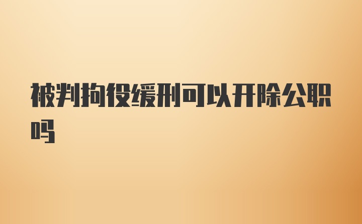 被判拘役缓刑可以开除公职吗