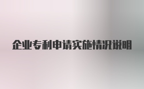 企业专利申请实施情况说明