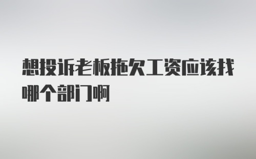 想投诉老板拖欠工资应该找哪个部门啊