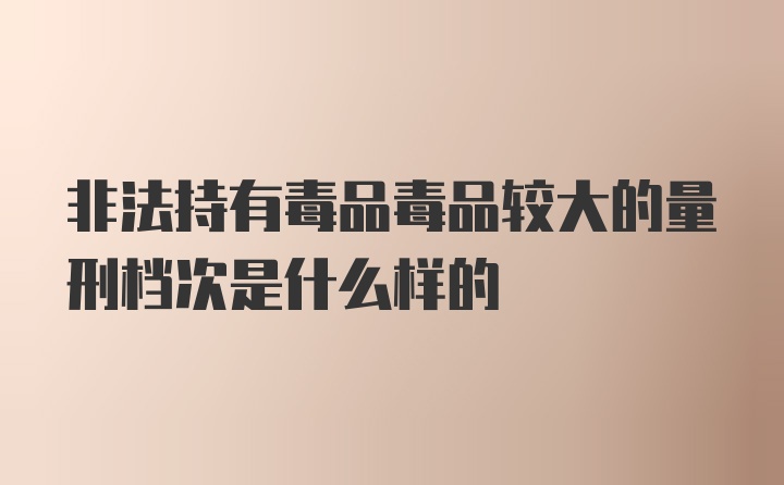 非法持有毒品毒品较大的量刑档次是什么样的