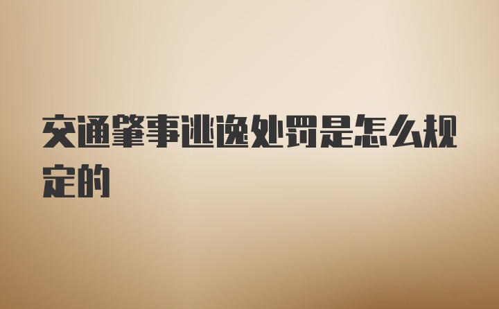 交通肇事逃逸处罚是怎么规定的