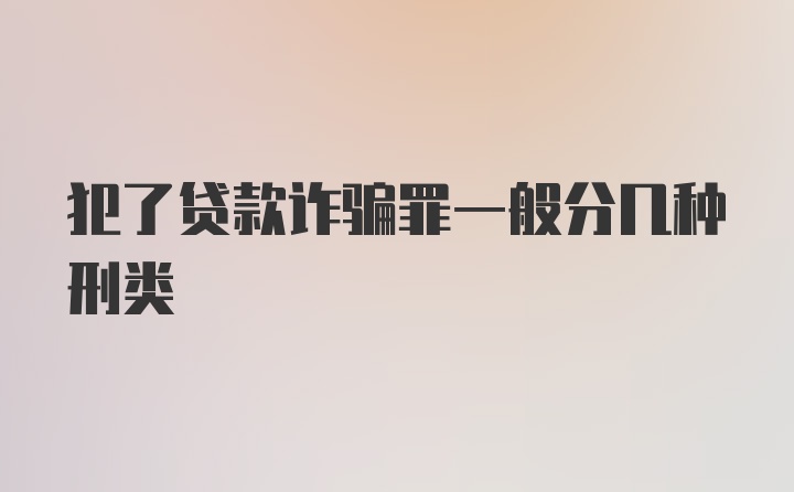 犯了贷款诈骗罪一般分几种刑类