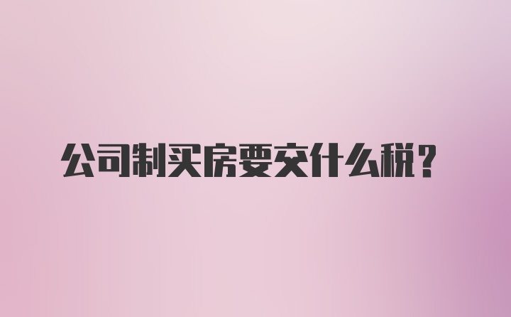 公司制买房要交什么税？