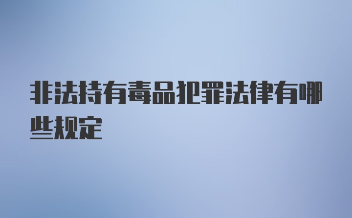 非法持有毒品犯罪法律有哪些规定