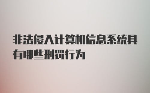 非法侵入计算机信息系统具有哪些刑罚行为