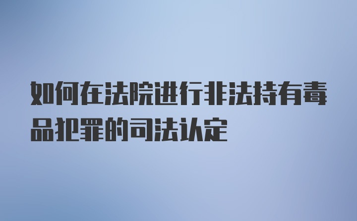 如何在法院进行非法持有毒品犯罪的司法认定