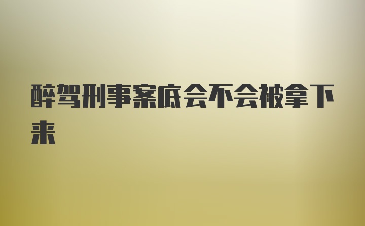 醉驾刑事案底会不会被拿下来