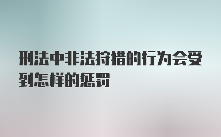 刑法中非法狩猎的行为会受到怎样的惩罚