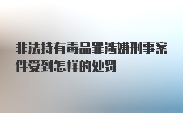 非法持有毒品罪涉嫌刑事案件受到怎样的处罚