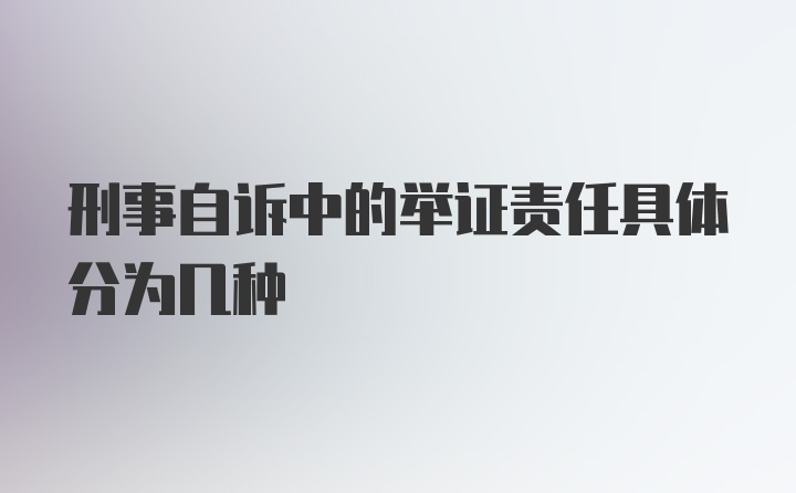 刑事自诉中的举证责任具体分为几种