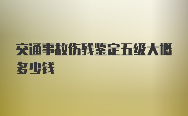 交通事故伤残鉴定五级大概多少钱