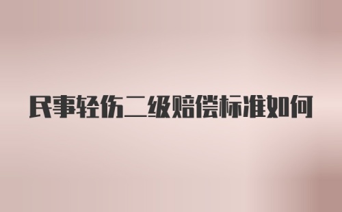 民事轻伤二级赔偿标准如何