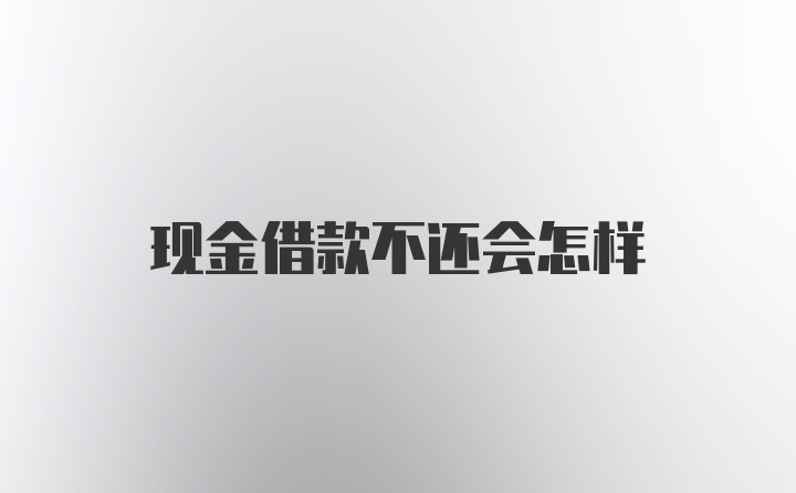 现金借款不还会怎样