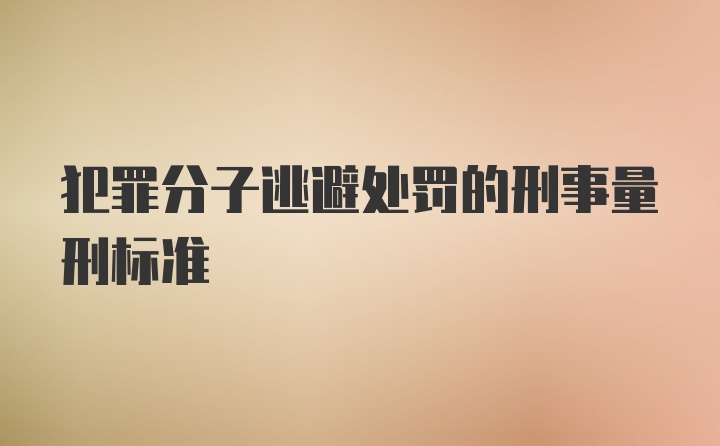 犯罪分子逃避处罚的刑事量刑标准