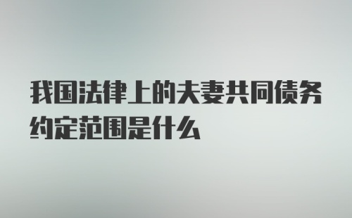 我国法律上的夫妻共同债务约定范围是什么