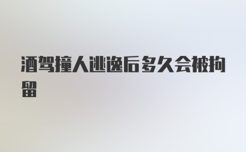 酒驾撞人逃逸后多久会被拘留